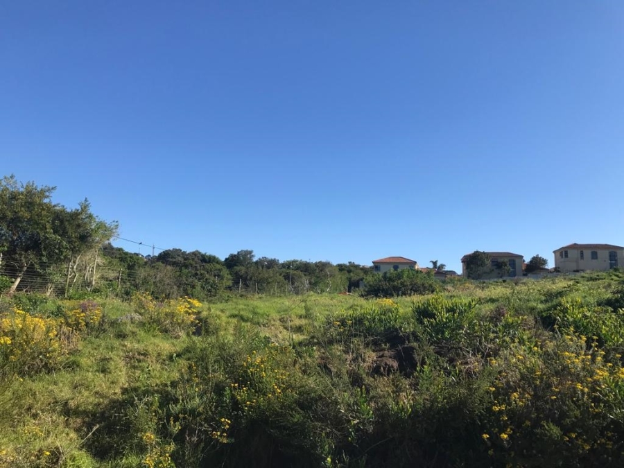 0 Bedroom Property for Sale in Theescombe Eastern Cape